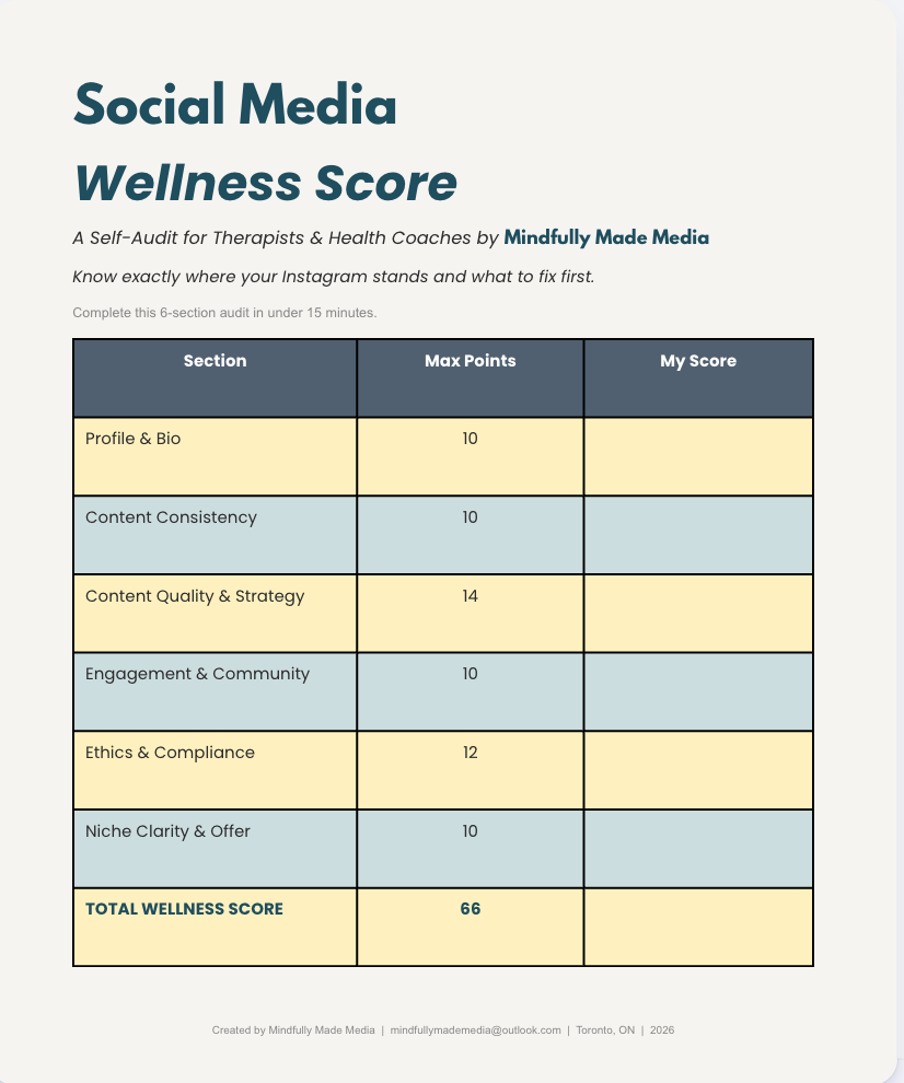 FREE- Social Media Wellness Score